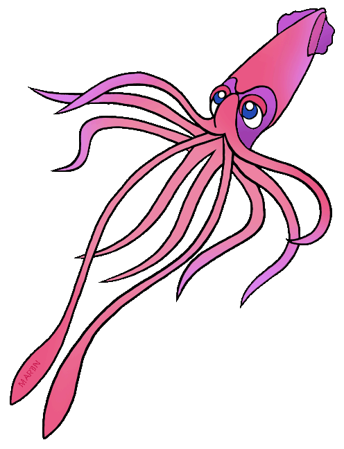Cartoon Squid Illustration - Playful Marine Life Art