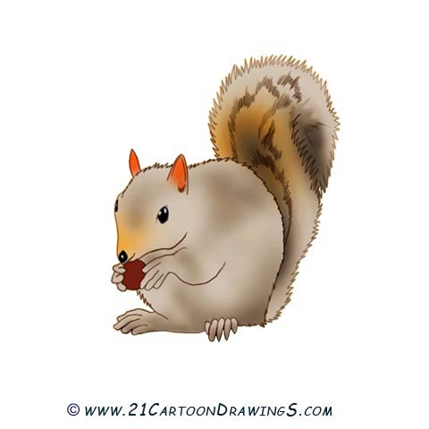Cute Cartoon Squirrel Eating an Acorn - Free Drawing Resource
