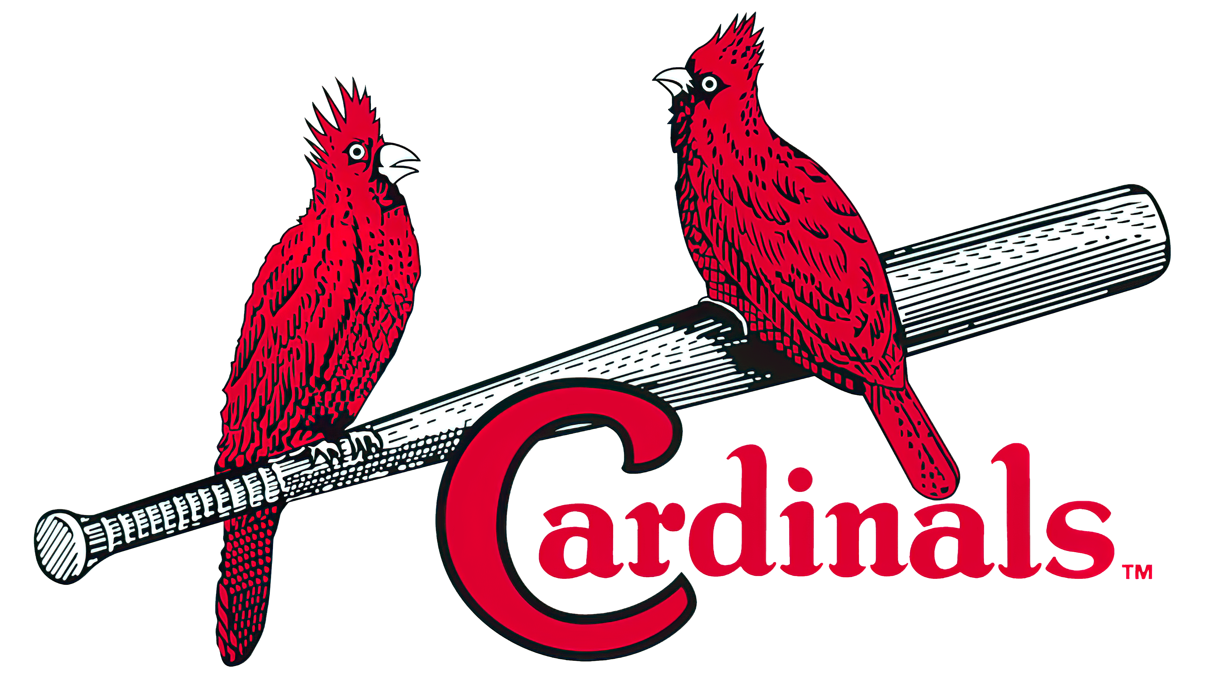 st louis cardinals - Clip Art Library