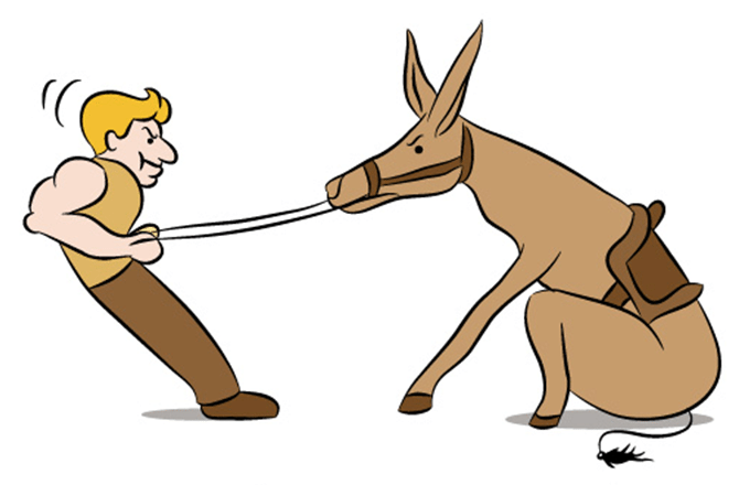 Stubborn Donkey Cartoon - Illustration of Resistance and Effort