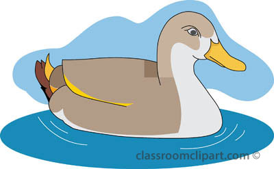 Cartoon Duck Illustration for Classroom and Educational Use