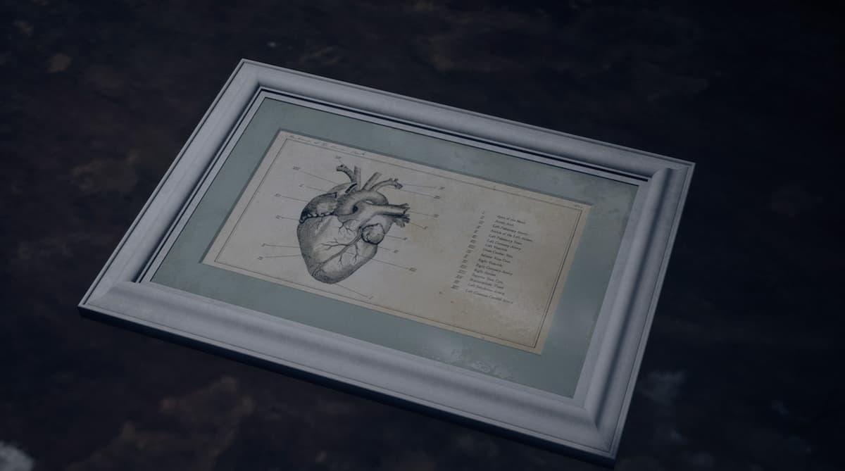Framed vintage anatomical illustration of the human heart with labeled parts on aged paper, set against a dark textured background.
