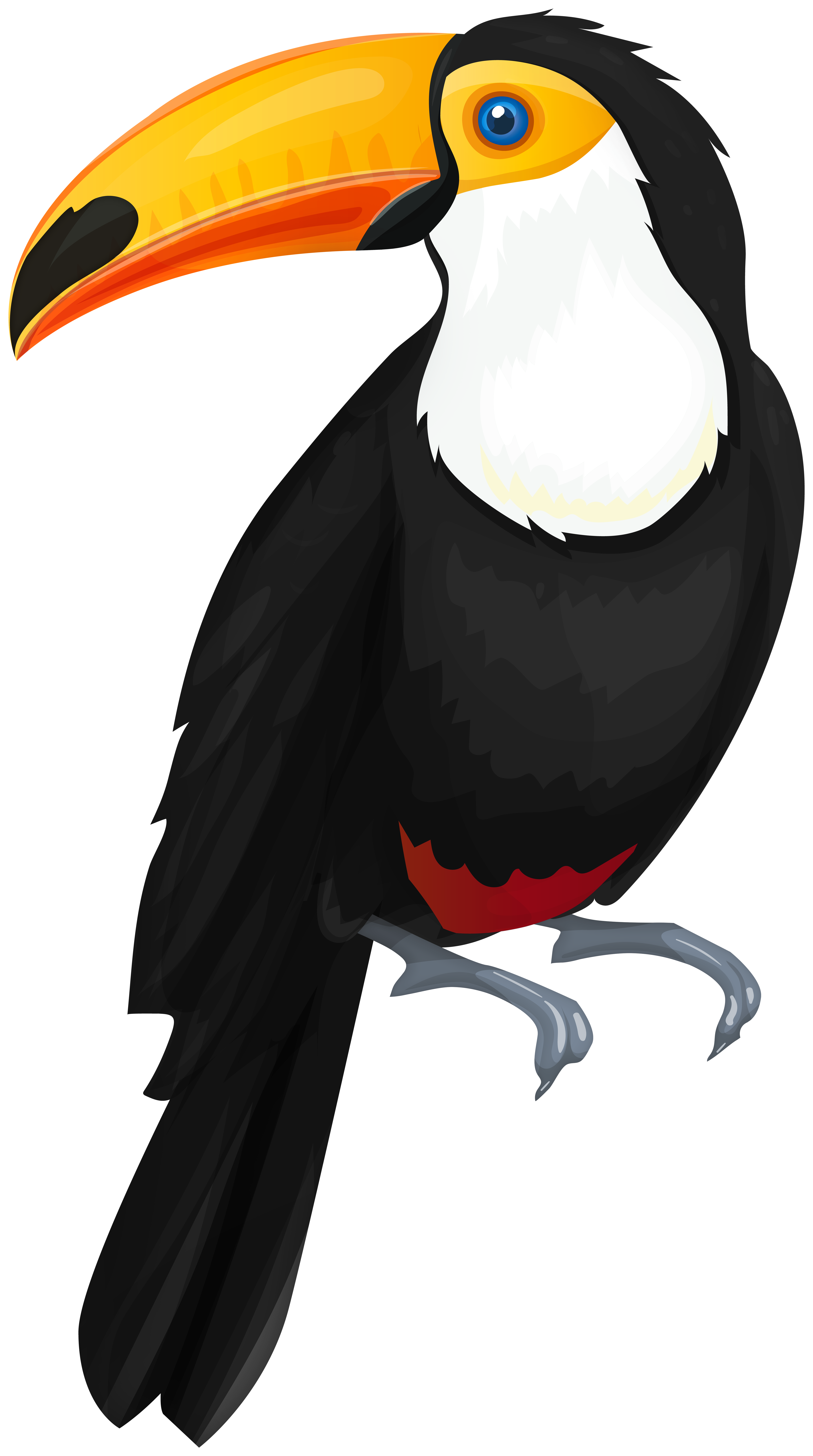 Vibrant cartoon toucan with large orange-yellow beak, blue eye, white throat, and black body perched on a branch.