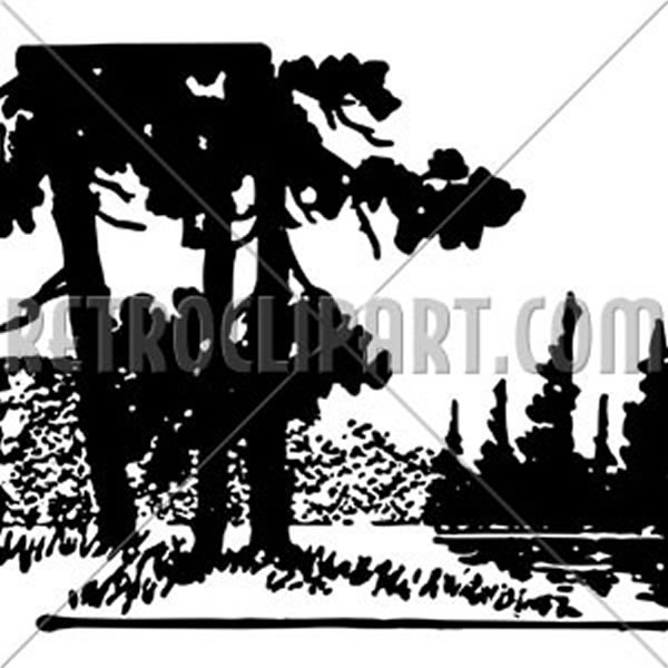 Black-and-white stylized illustration of tall pine trees and underbrush in a forest scene.