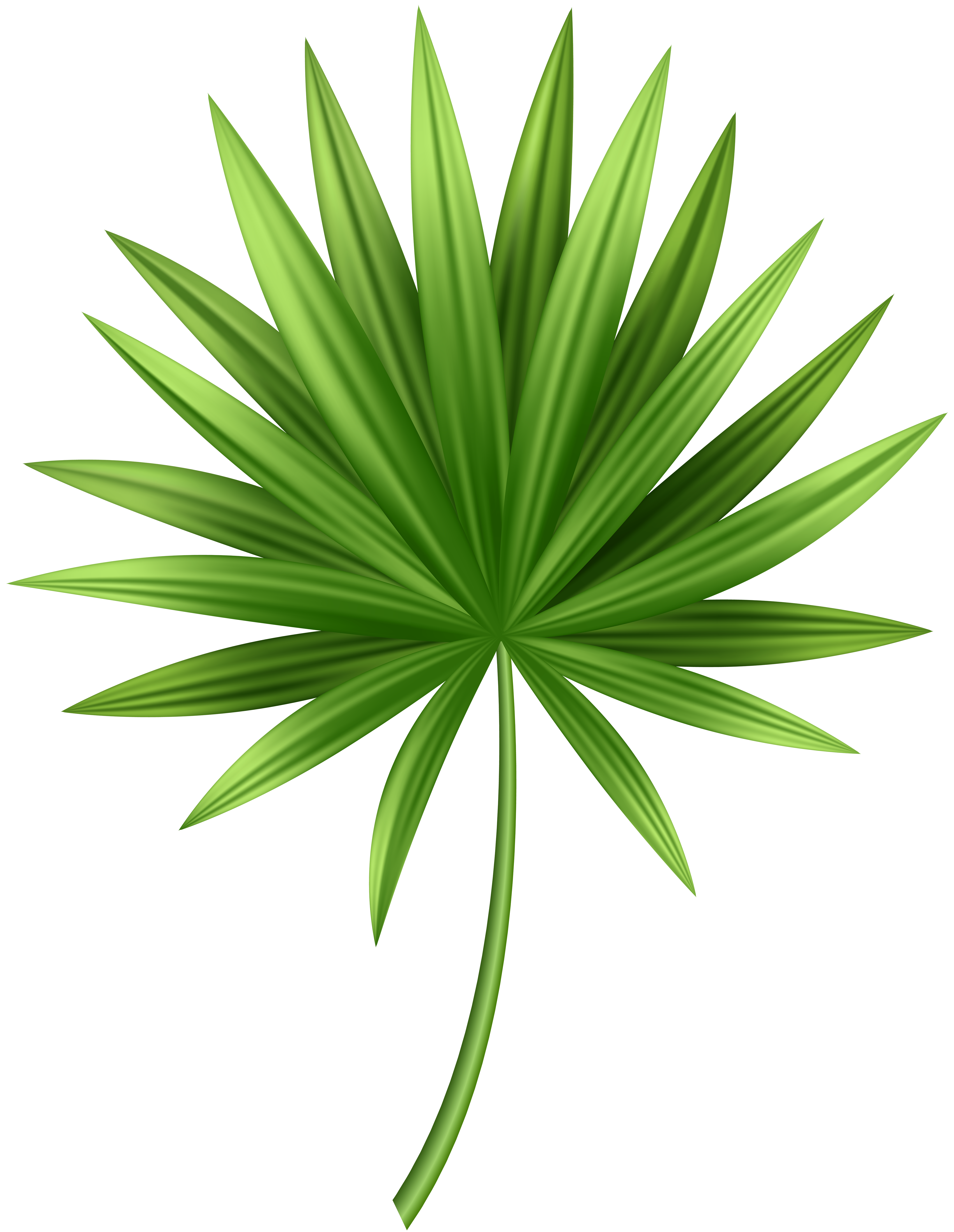 Stylized green palm frond with radiating leaves and gradient shading, evoking tropical nature and eco-friendliness.
