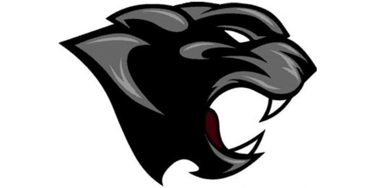 Panther Mascot Logo - Bold & Aggressive Team Identity Design
