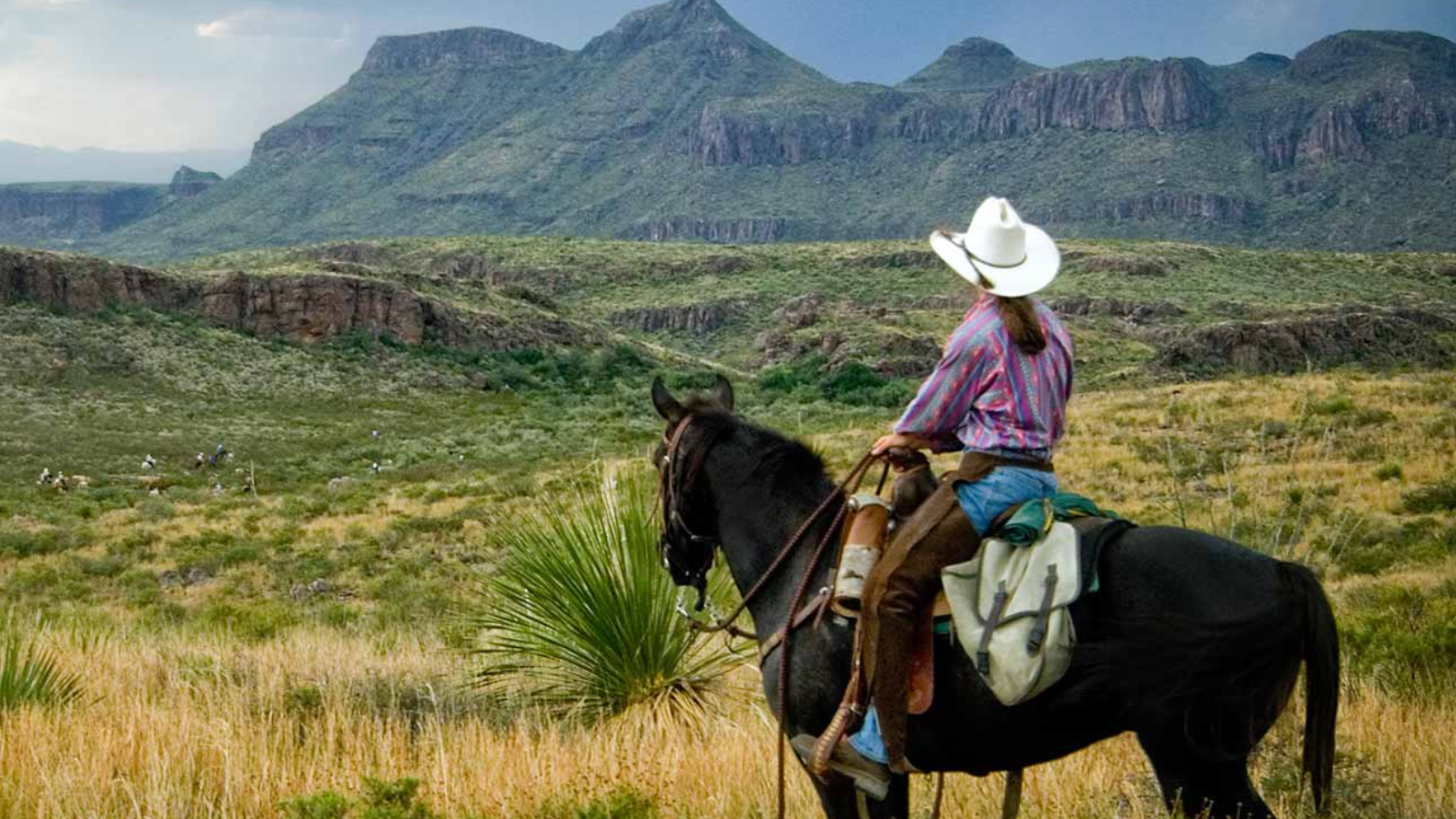 A rider in a white cowboy hat on a black horse gazes across a rugged desert landscape with distant mountains and grazing cattle.