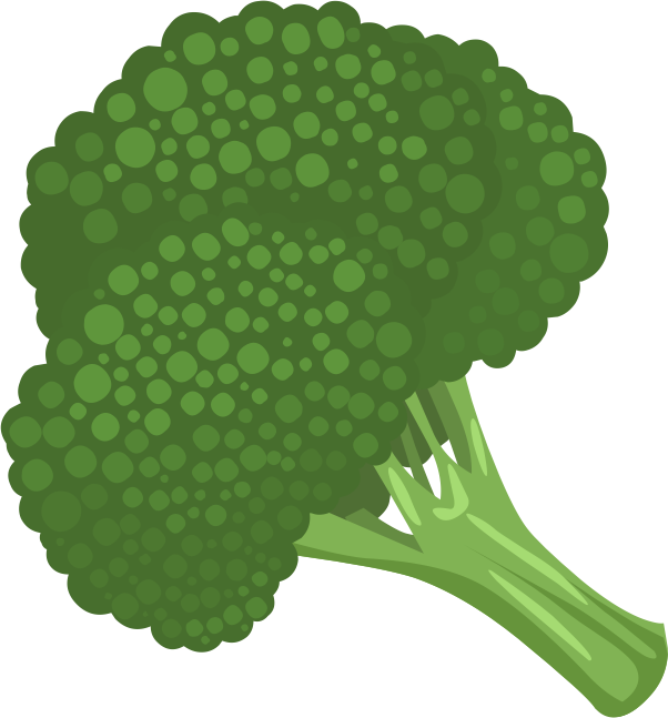 Fresh Broccoli Illustration | High-Quality Vegetable Graphic for Health & Cooking Content