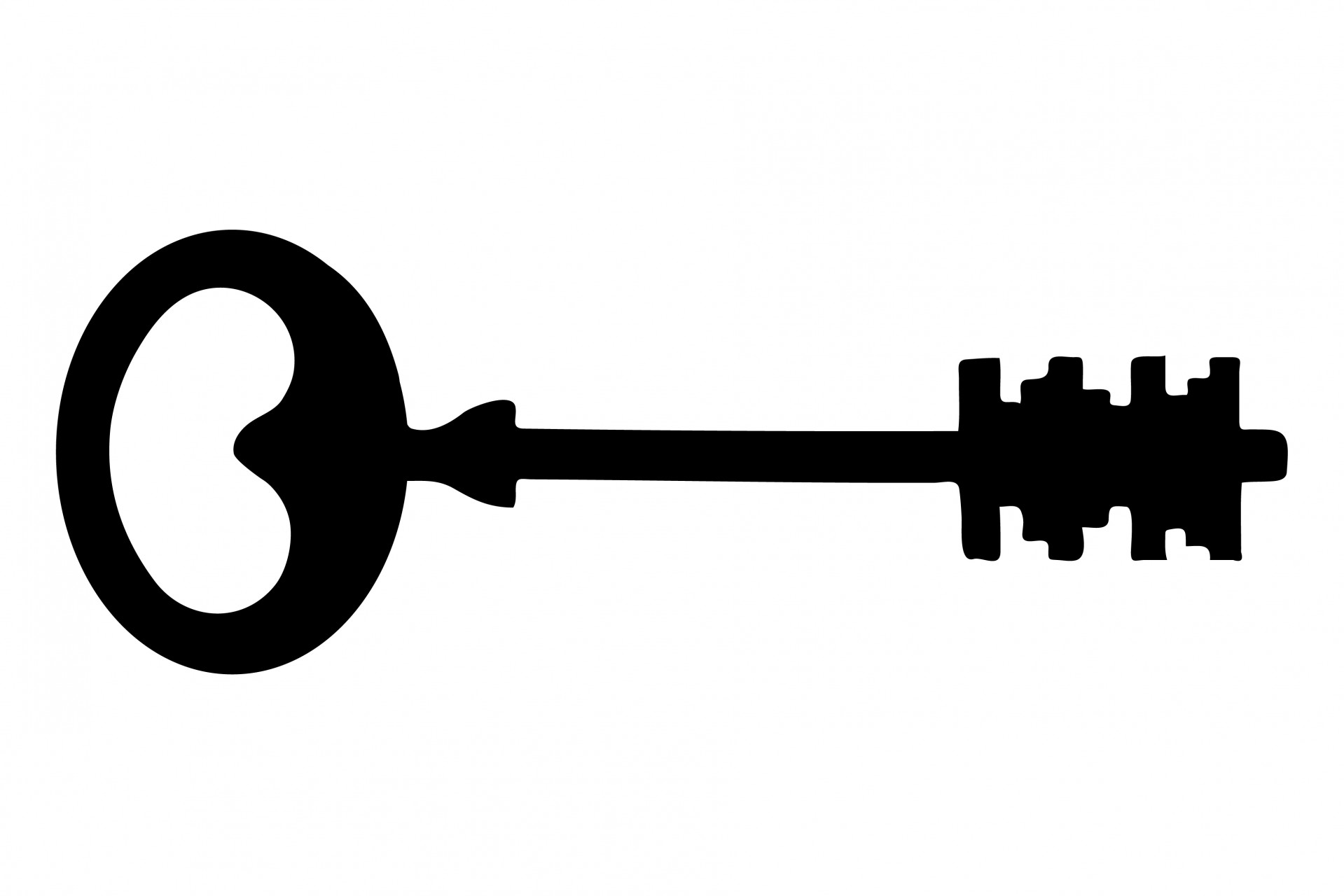 Ornate Key Icon - Symbol of Access, Security, and Unlocking Potential