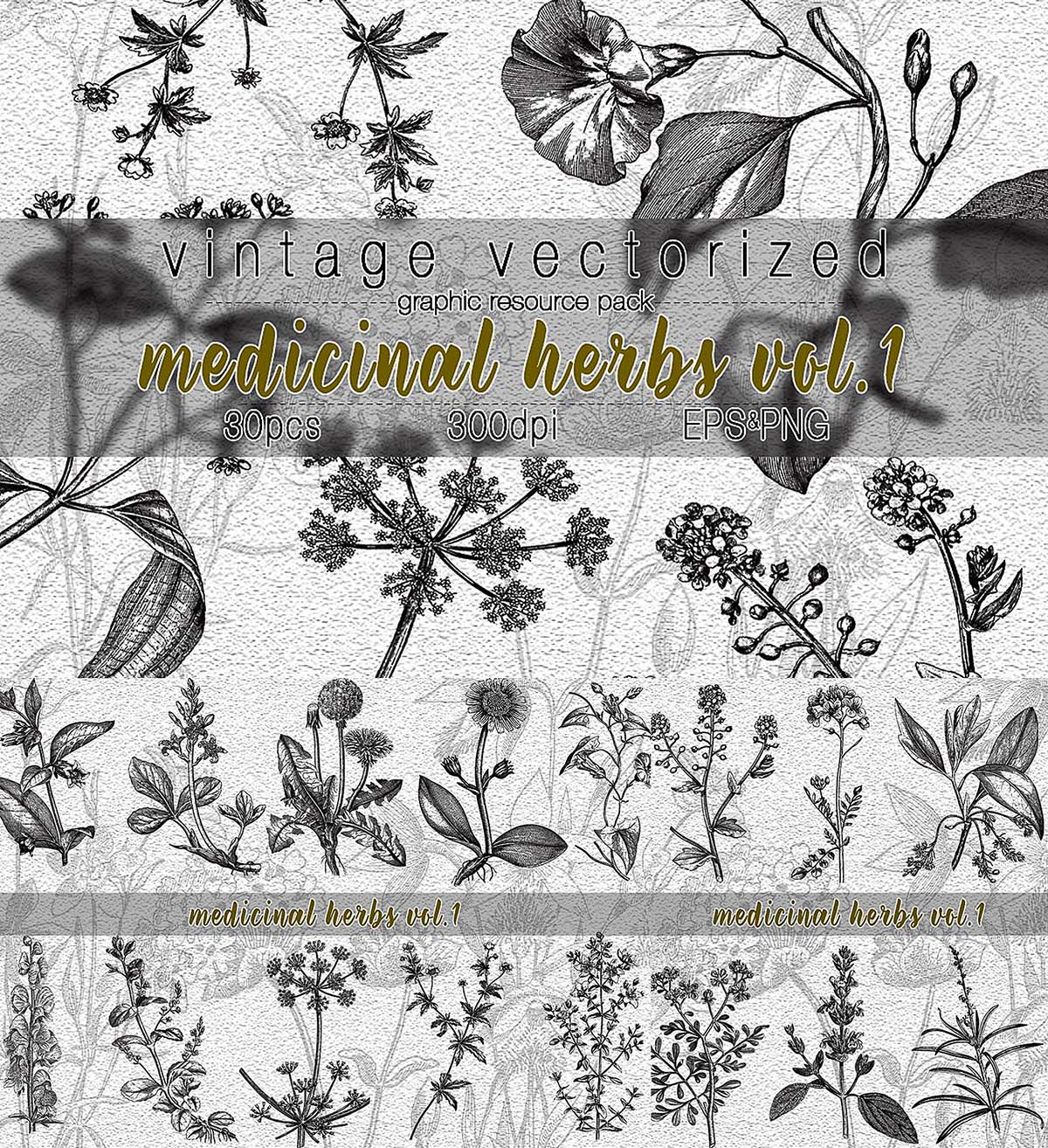 Free Vintage Herb Cliparts, Download Free Vintage Herb Cliparts - Clip ...