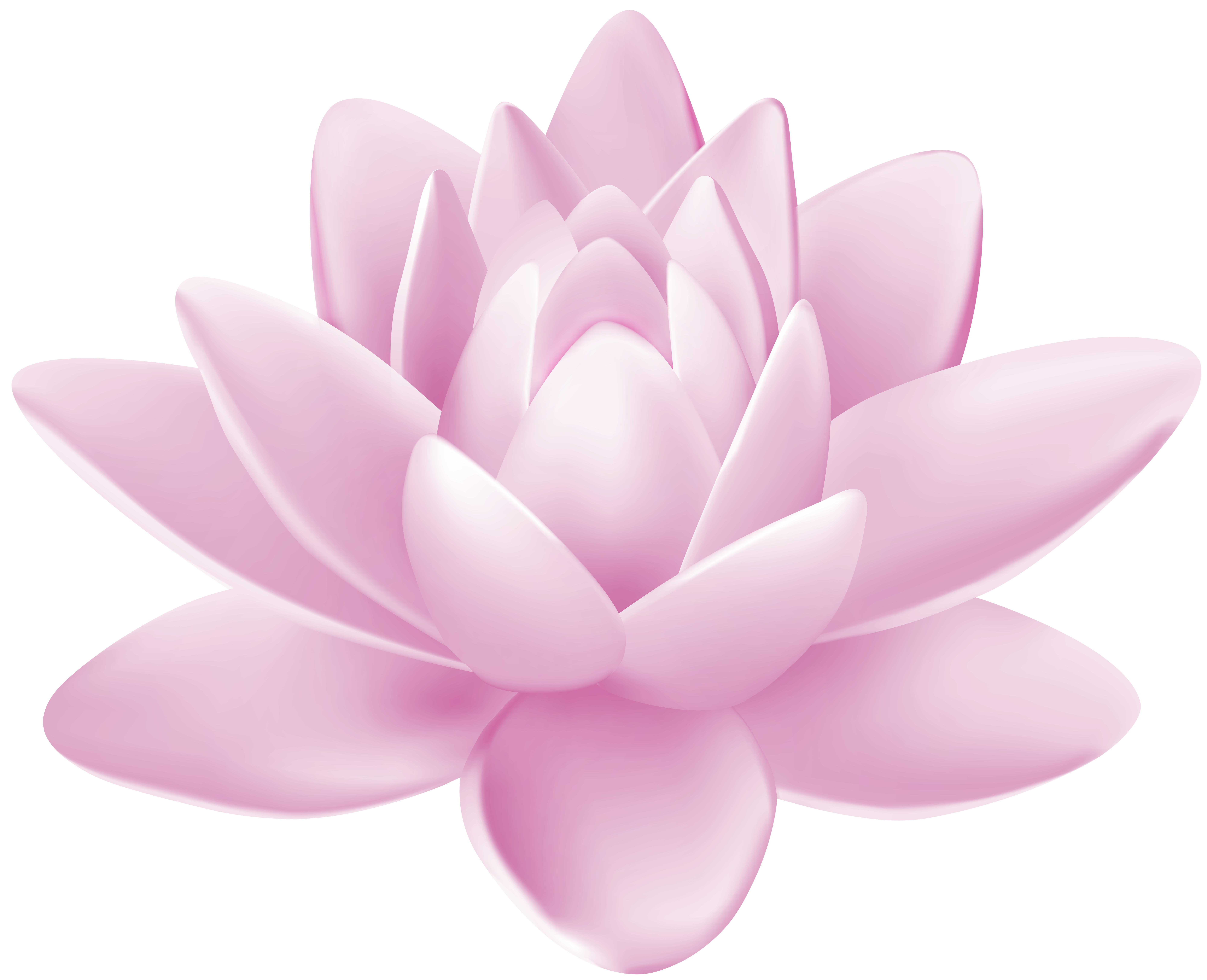 Pink Lotus Flower - Symbol of Serenity and Spiritual Growth
