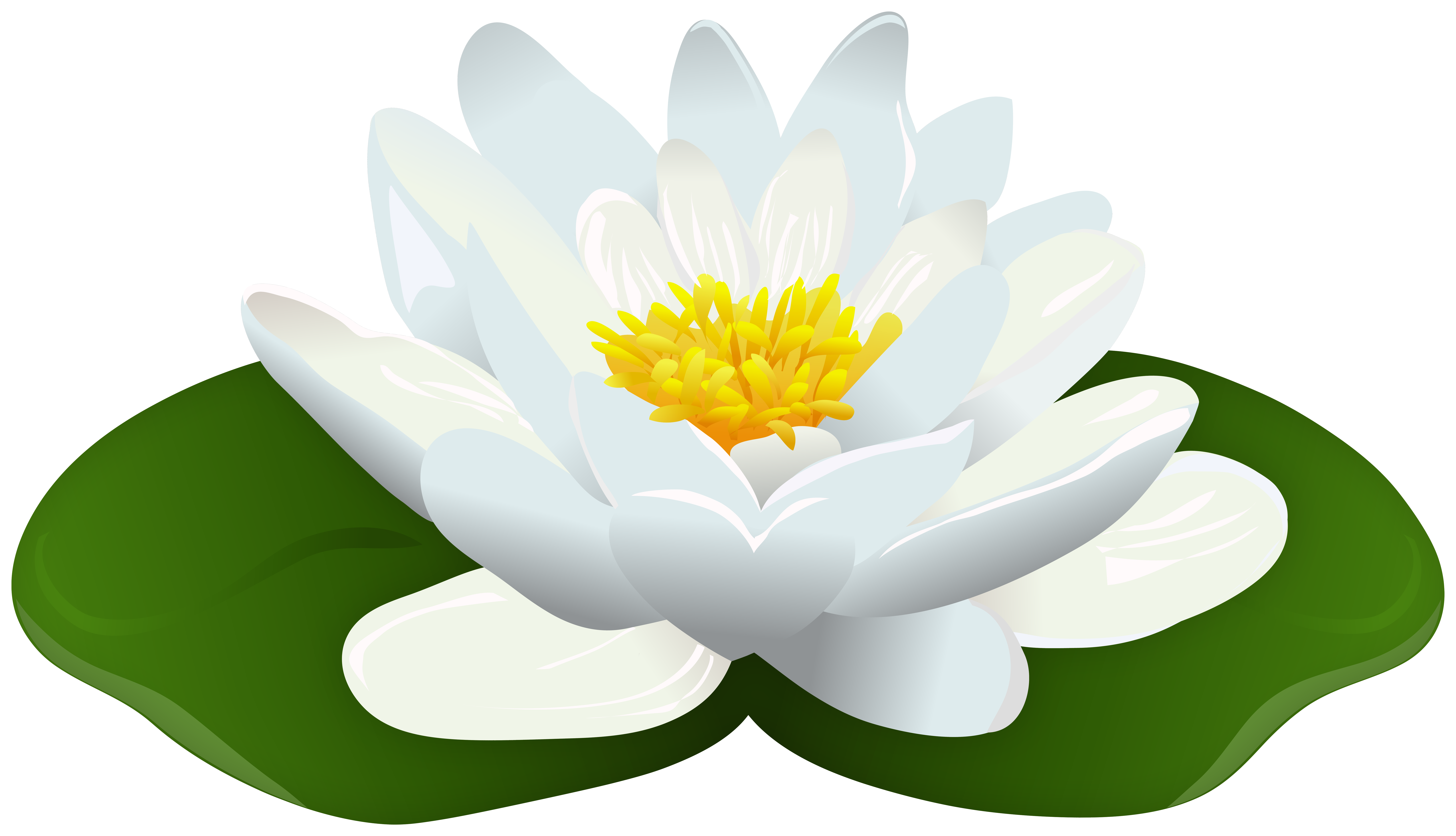 A pristine white water lily with vibrant yellow stamens rests atop a large green lily pad, rendered in clean vector illustration style.