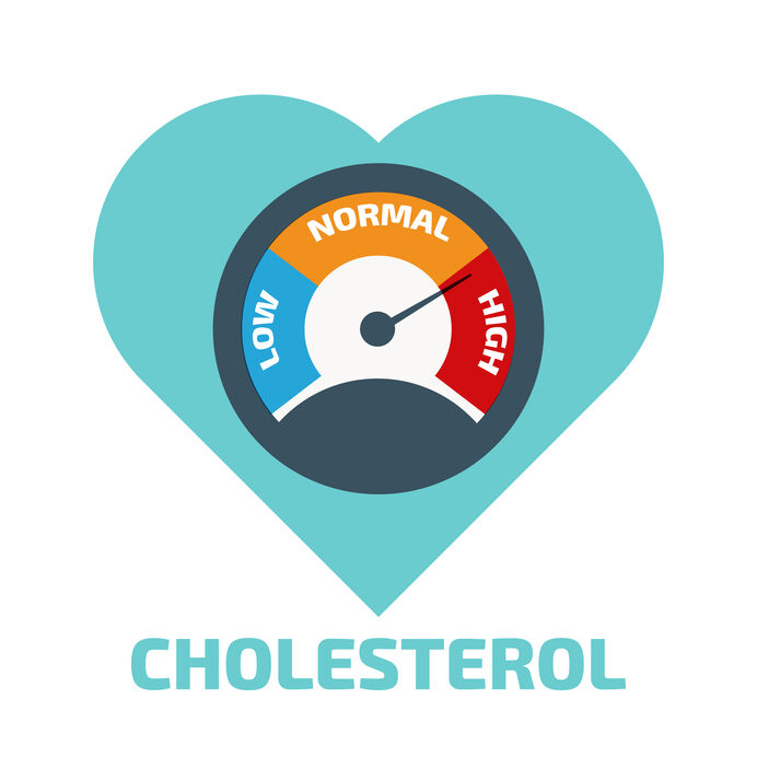 Heart-shaped cholesterol gauge showing low, normal, and high levels with needle pointing to high.