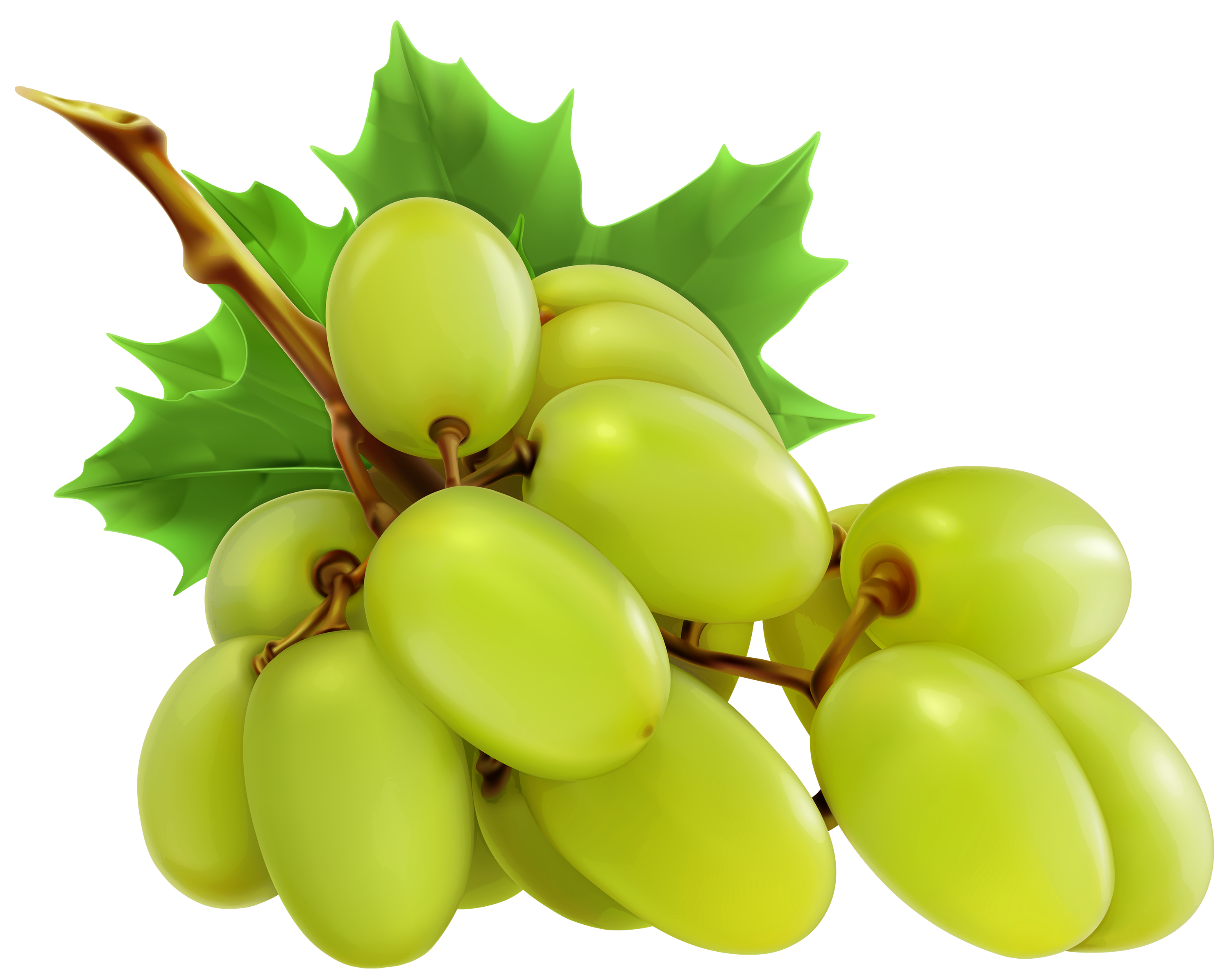 A vibrant cluster of fresh green grapes with glossy skin, attached to a brown stem and surrounded by lush green leaves.