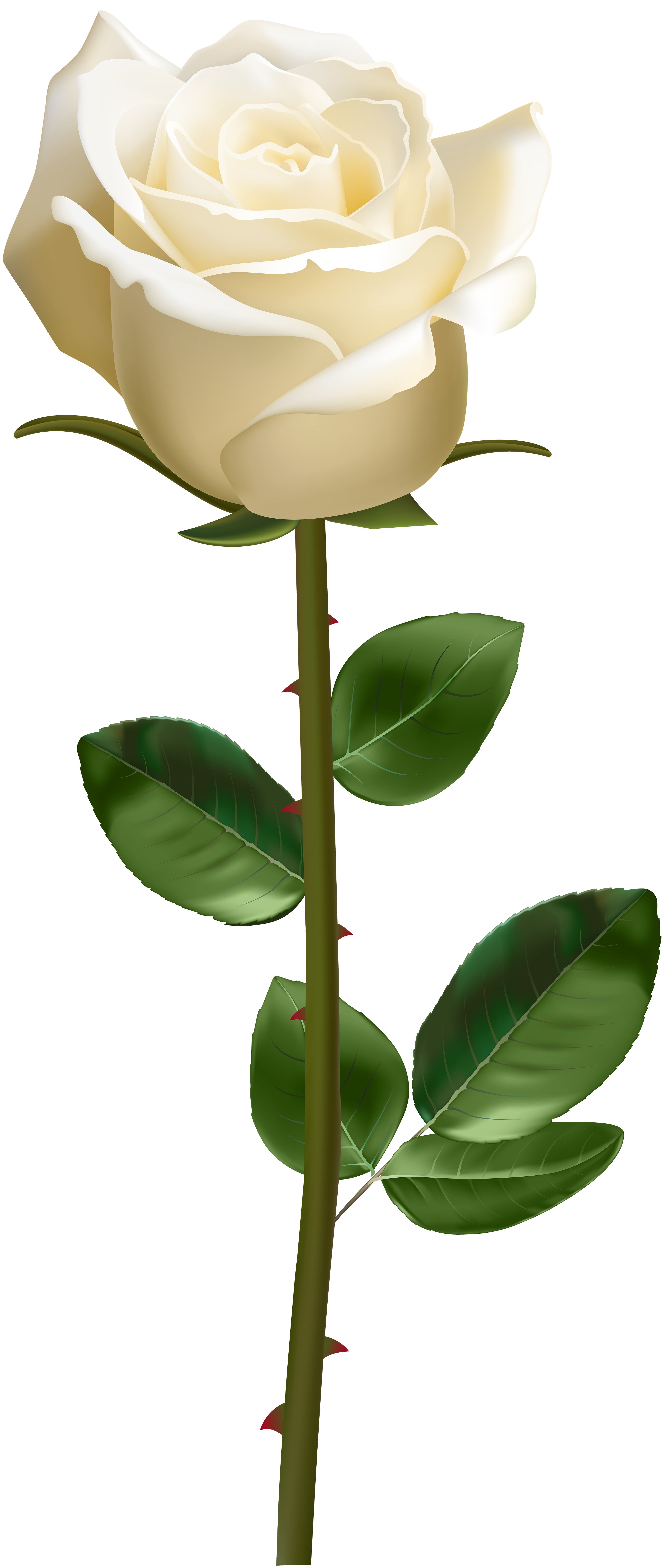A pristine white rose with creamy yellow center, green stem and leaves, rendered in high-detail digital illustration.
