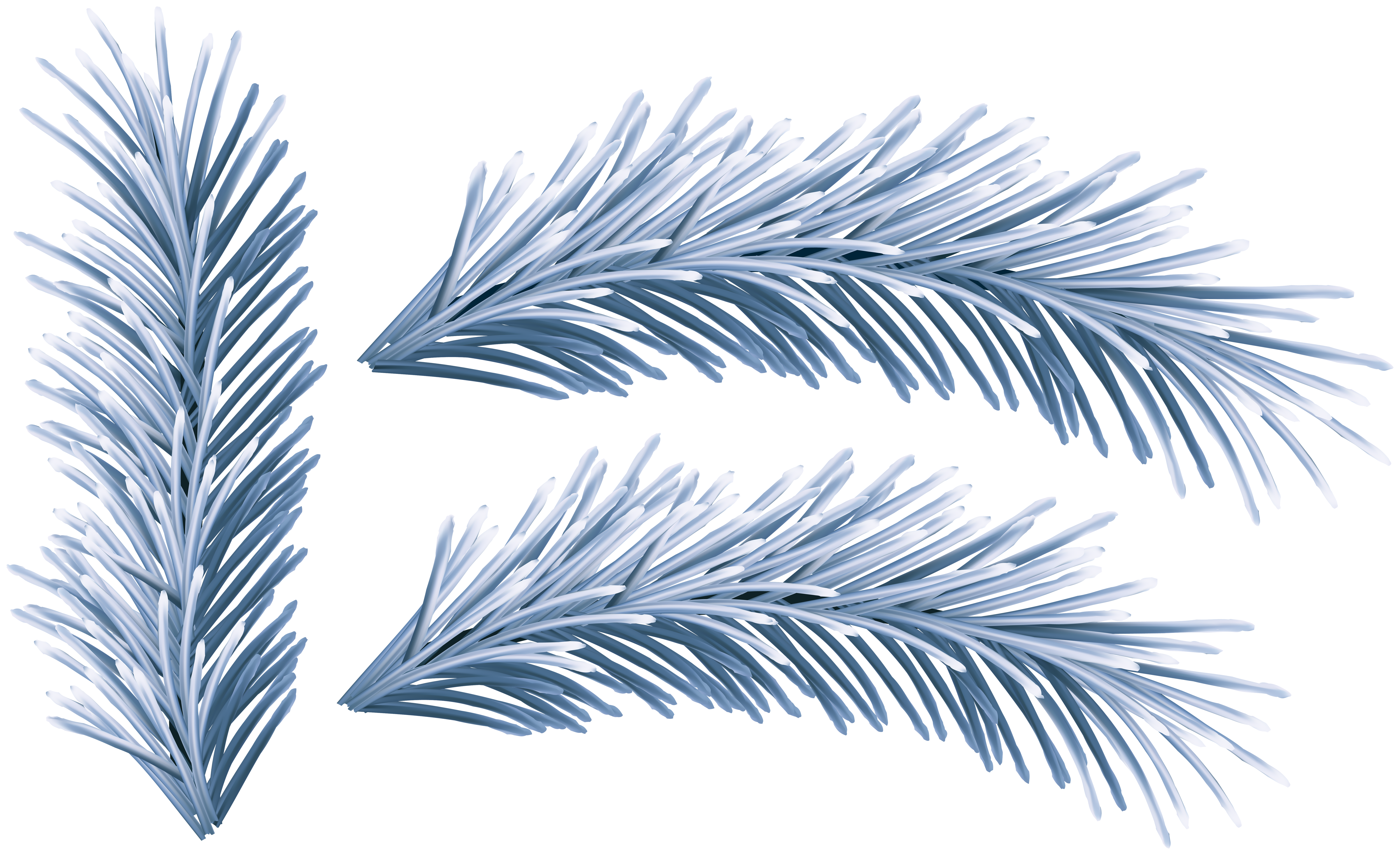 Frost-covered pine branches in icy blue tones, evoking winter serenity and natural beauty.