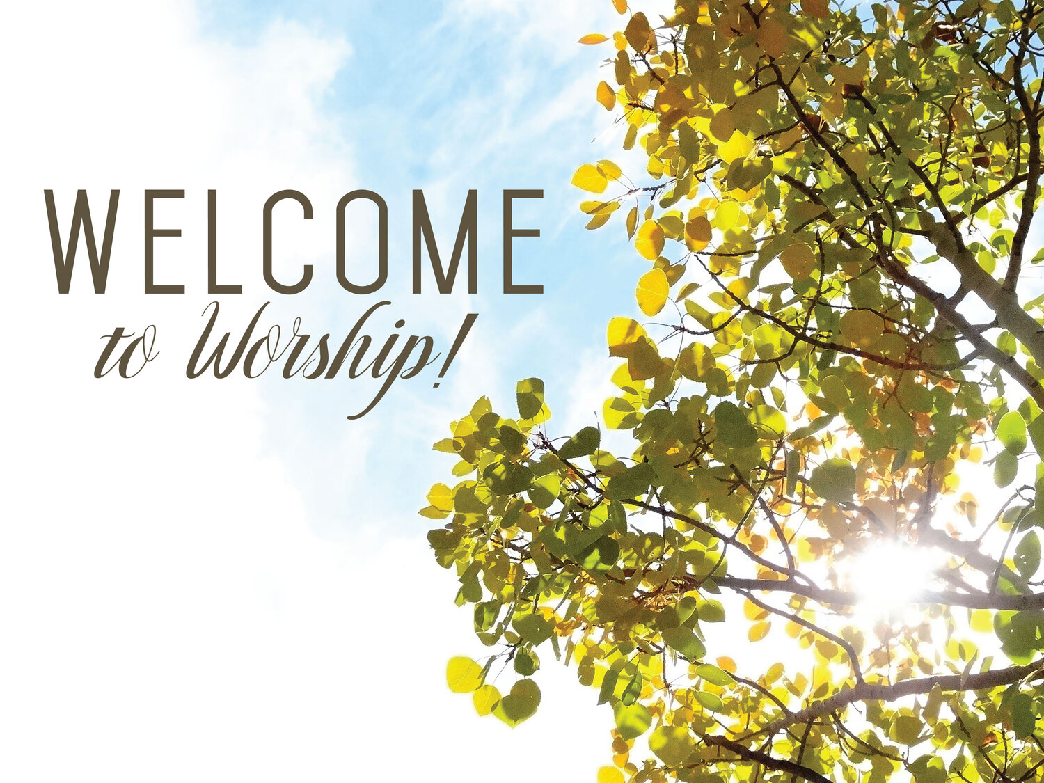 Sunlit autumn leaves with "Welcome to Worship!" text against a bright sky.
