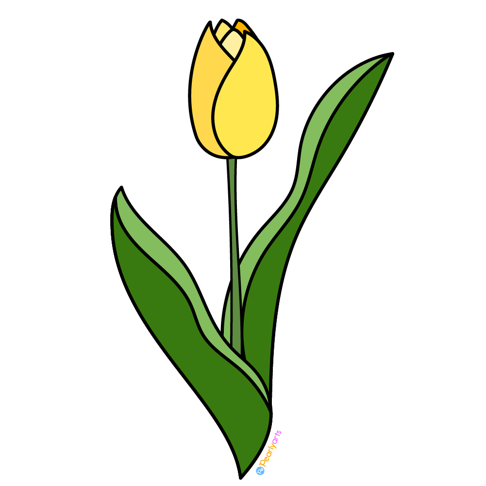 transparent yellow tulip clipart - Google Search - Clip Art Library