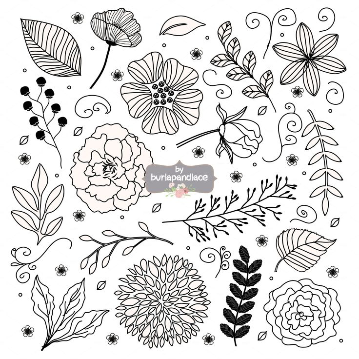 Black-and-white hand-drawn floral doodle collection with leaves, blossoms, berries, and swirls by Burlapandlace.