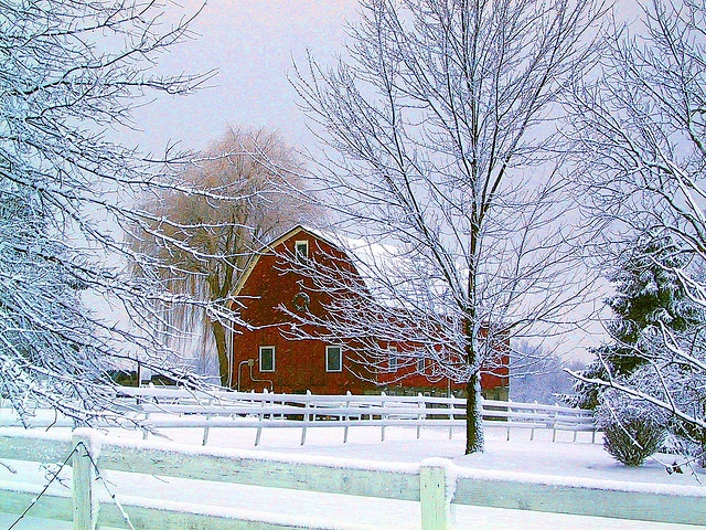Snow-covered red barn behind a white fence with bare, frost-laden trees in a serene winter landscape.