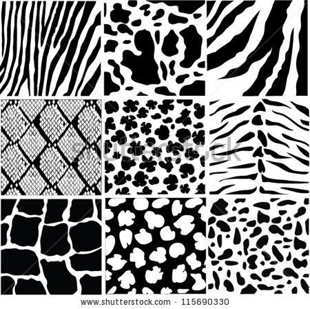 Grid of nine black-and-white animal print patterns including zebra, leopard, snake, and giraffe textures.