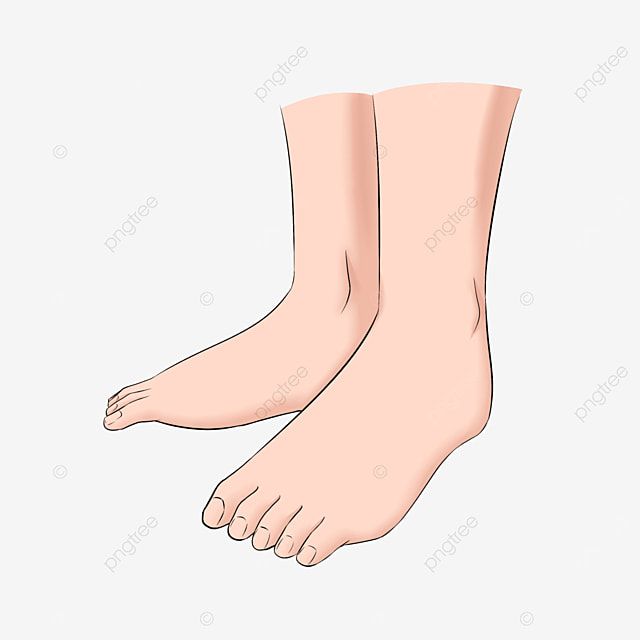 Illustration of two bare human feet in natural stance, showing soles and toes with soft skin tones.