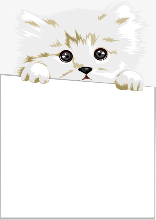Cute white fluffy puppy peeking over a blank sign with big eyes and paws gripping the edge.