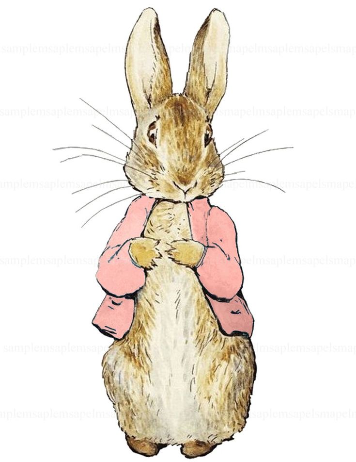 Peter Rabbit Beatrix Potter transparent background PNG cliparts Clip