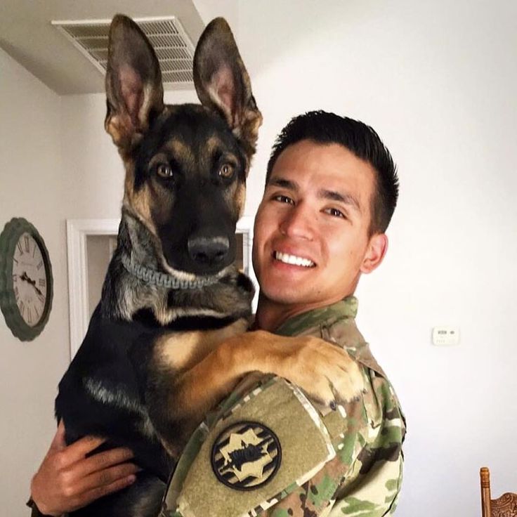 Soldier in camouflage uniform smiling while holding a German Shepherd puppy indoors.
