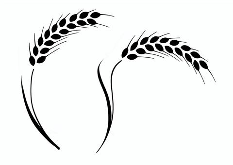 Two stylized black-and-white wheat stalks with detailed grains and curved stems on a white background.