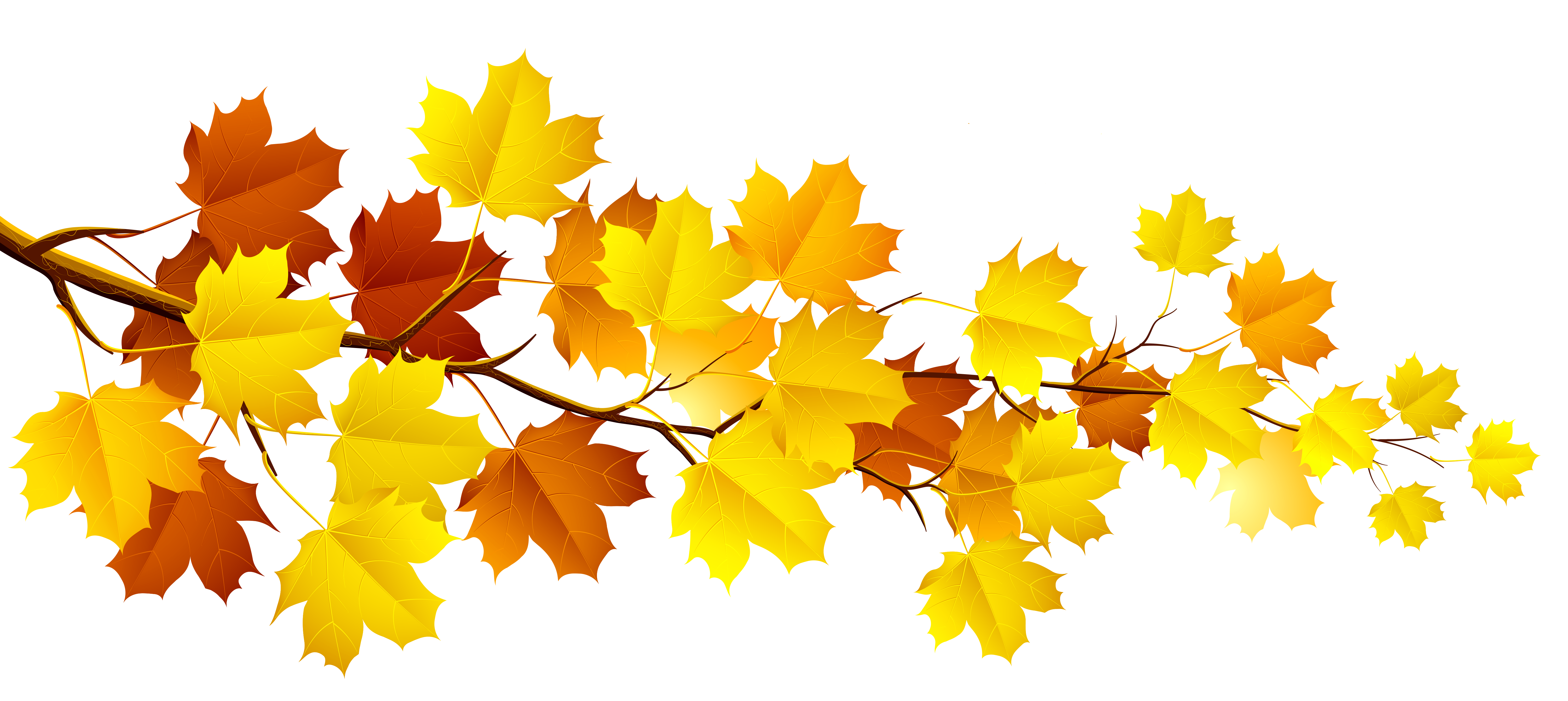 Autumn Maple Leaves Clipart - Free High-Resolution Fall Foliage Image
