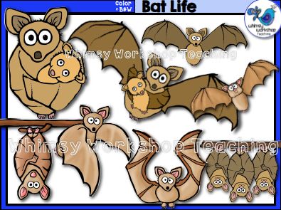 Bat Life Educational Clip Art - Free Teaching Resources for Science Lessons
