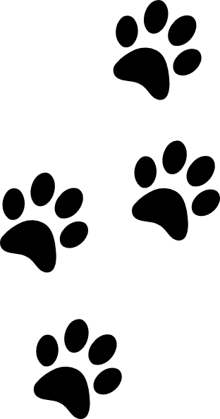 Four black paw prints walking diagonally on a white background, representing pet tracks.