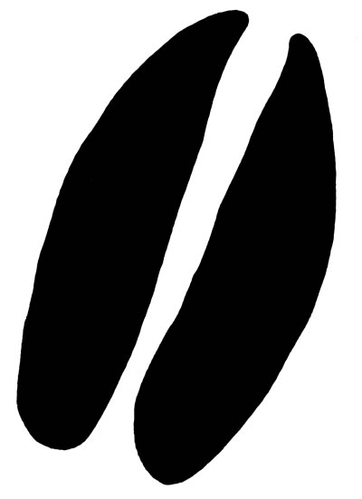Two black coffee bean silhouettes on a white background, stylized and symmetrical.