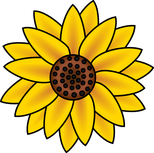 A bright yellow sunflower with a brown center and black seeds, illustrated in a clean cartoon style.