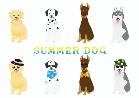 Summer Dog Collection - Fun Cartoon Canines in Seasonal Gear
