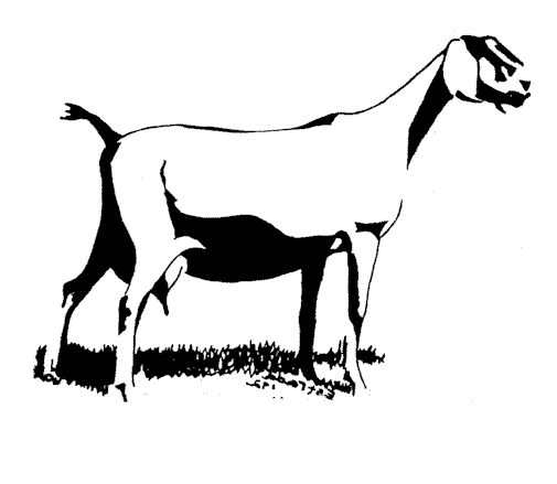 Black-and-white line drawing of a standing goat with a kid nursing beneath it, on grassy ground.