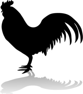 Black silhouette of a rooster standing alert with detailed feather outlines and a soft shadow beneath.