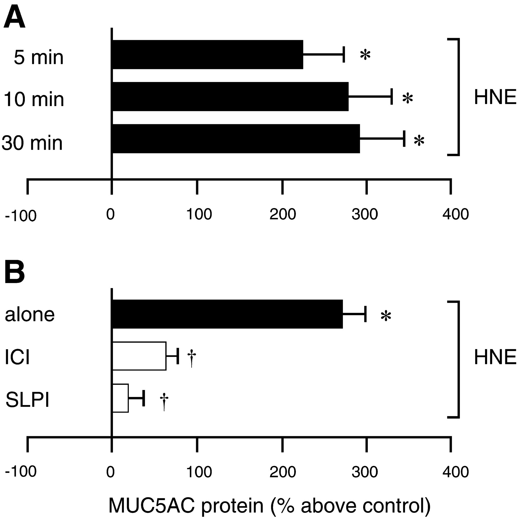 Bar charts showing MUC5AC protein levels (% above control) after HNE exposure at different times (A) and with inhibitors (B); asterisks indicate significance.