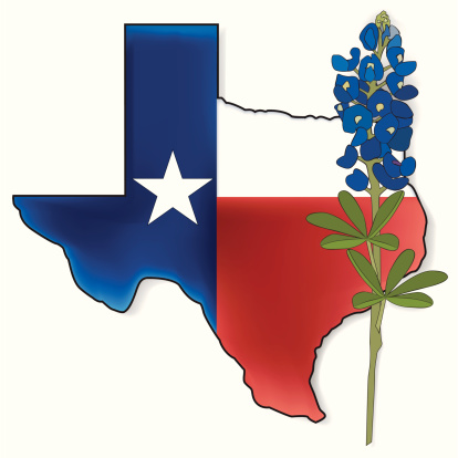 Colorful Texas Bluebonnet clipart free image download - Clip Art Library