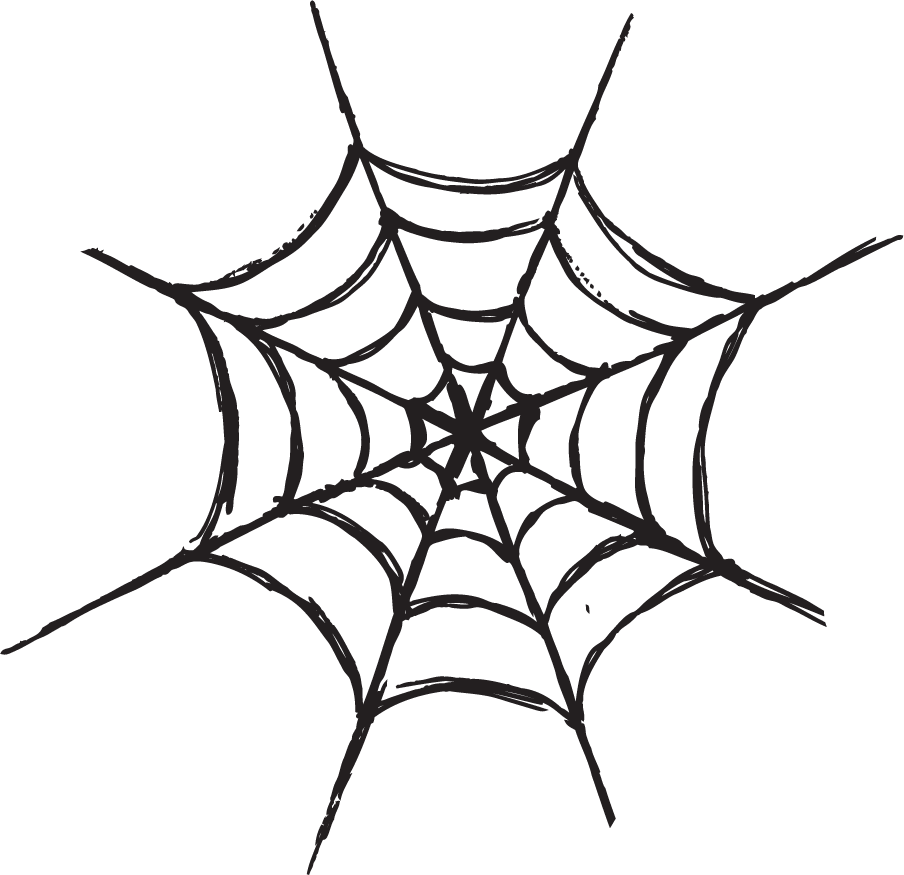 Hand-drawn black-and-white spiderweb with radial symmetry and concentric rings.