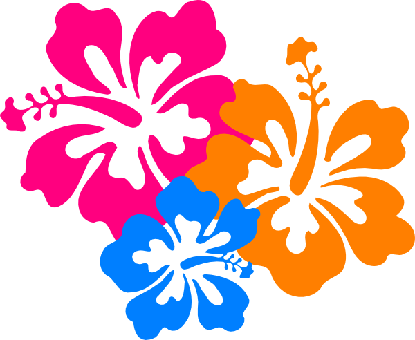Tropical Hibiscus Flower Clipart - Free Vector Graphic for Design