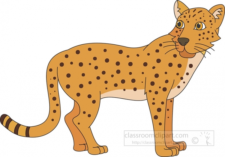 leopards - Clip Art Library