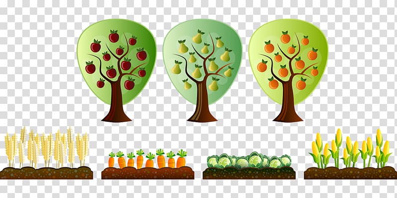 Tree Planting Plantation Clip Art Png X Px Tree Planting Clip Art Library