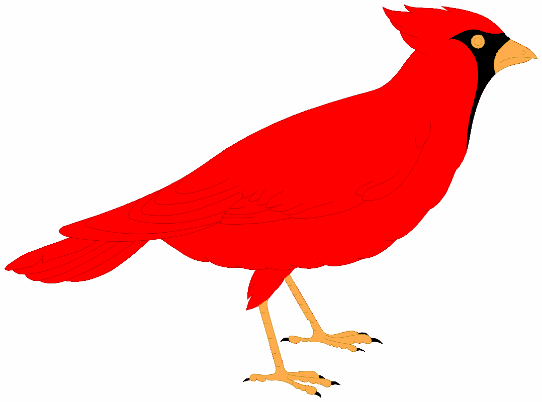 A stylized red cardinal bird with black face mask, orange beak and legs, standing in profile against white background.