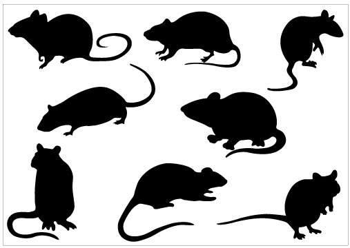 Nine black silhouettes of rats and mice in various poses on white background.