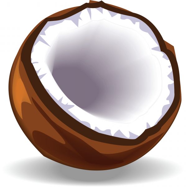 Halved coconut showing brown shell and white flesh with hollow interior