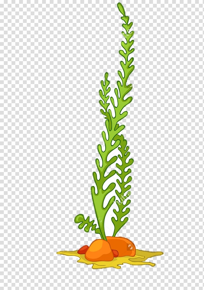 Cartoon-style green seaweed growing from orange rocks on a sandy seabed, illustrated against transparent background.