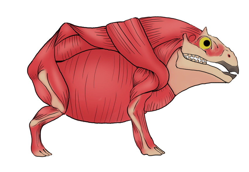Anatomical illustration of a bipedal dinosaur with exposed musculature, yellow eye, and open jaws showing teeth.