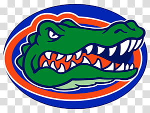 gator basketballs